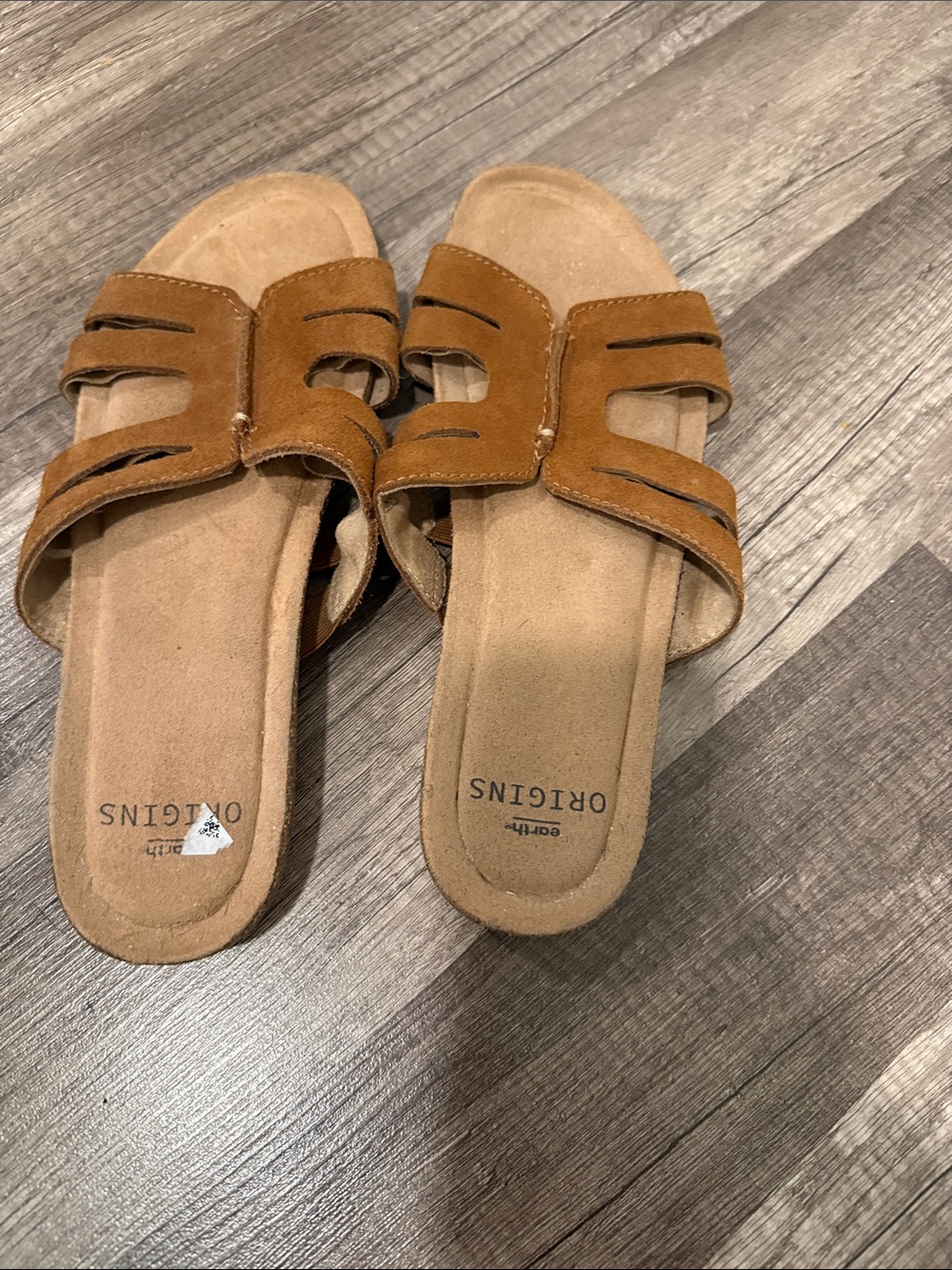 Earth Origins Suede Slide Sandals - Brown